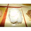 供應KG1027特種白色潤滑脂 白色潤滑脂 潤滑脂生產廠家